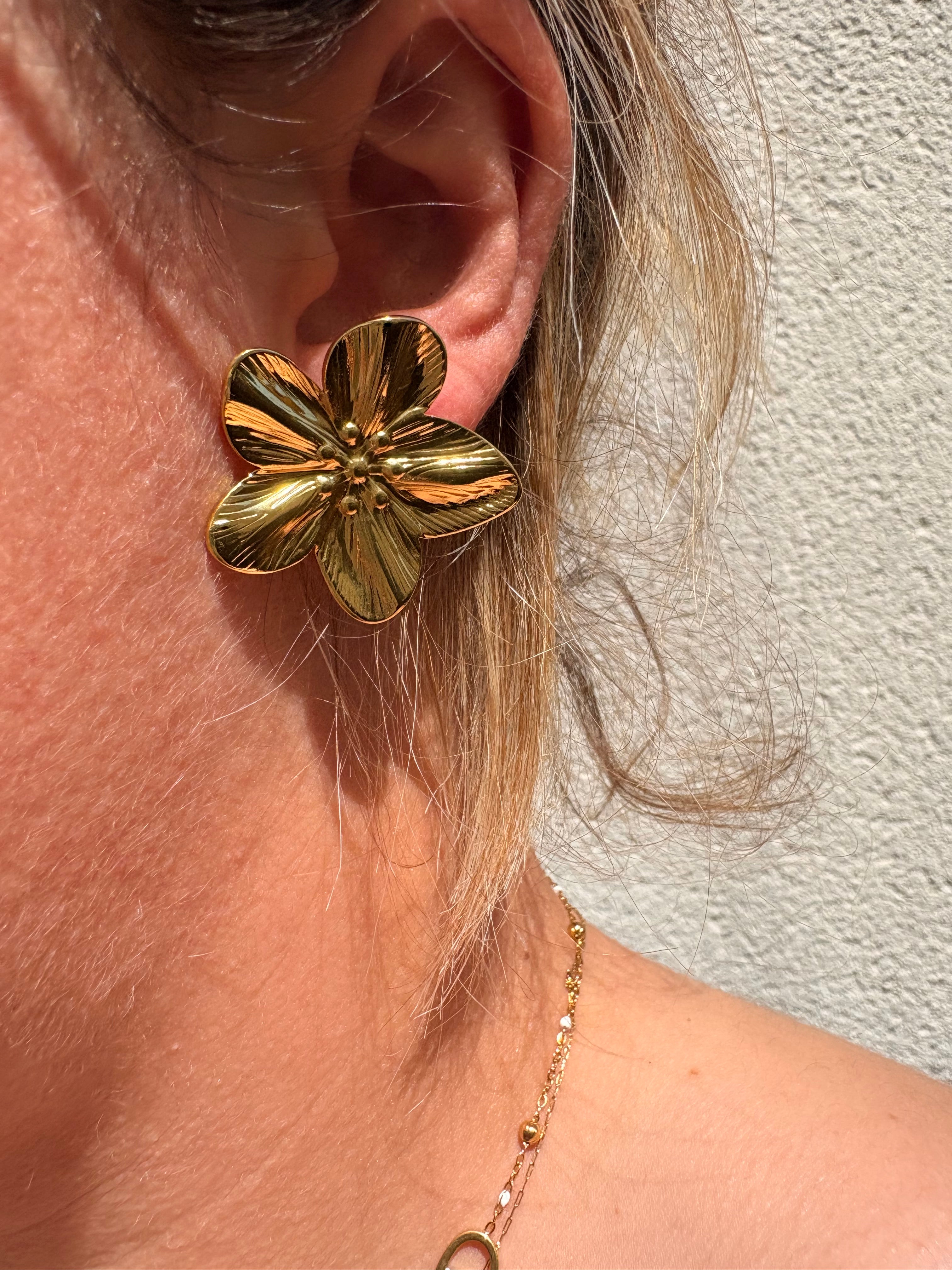 Paire de boucles d’oreilles en acier inoxydable