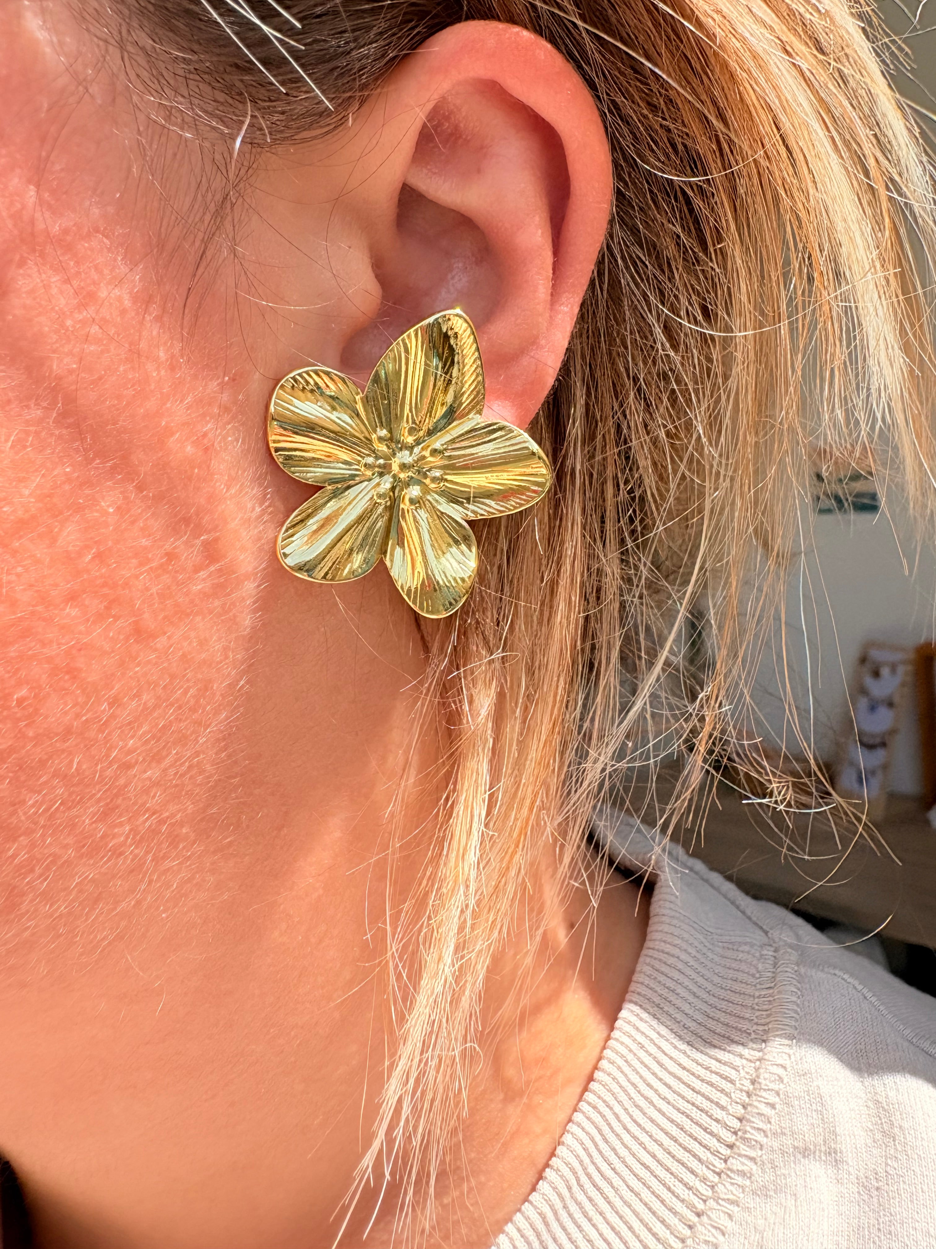 Paire de boucles d’oreilles en acier inoxydable